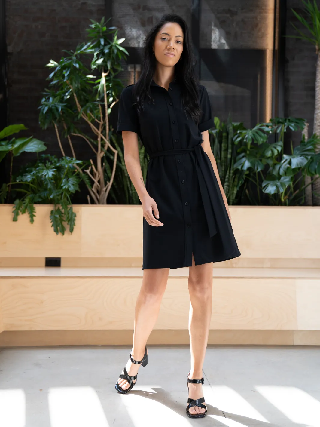 Ameliora The Ellen Black Dress