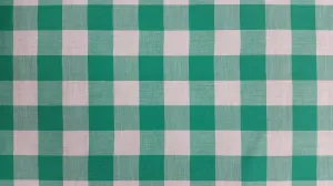 COTTON LAWN YARN DYED 1X1" CHECK NON-STRETCHED WOVEN - SHIRTING FABRIC<br><h6>18-KELY GRN/WHT<br>250A-CLWNP 1X1"</h6>