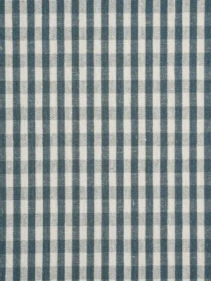 Hemp & Tencel Light Weight Yarn Dye Plaid Twill Fabric (HG4427Y-H09)